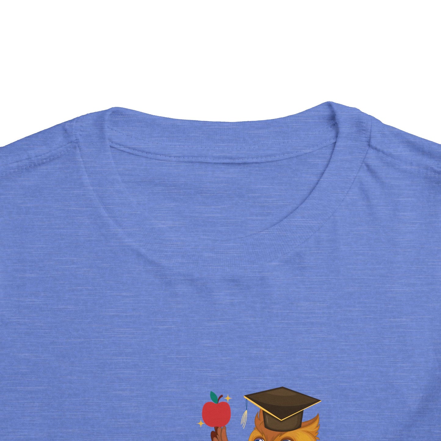 Graduation Owl Toddler Tee, Kids Graduation Gift, Cute Animal Shirt, Back to School Outfit, Book Lover Apparel, Preschool Tee