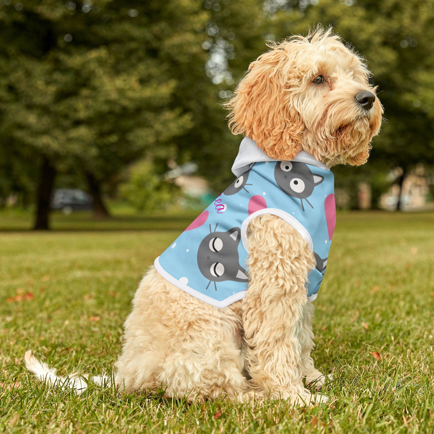 Personalized Cat Heart Pet Hoodie — Cute Blue Cat Pattern Dog & Cat Hoodie