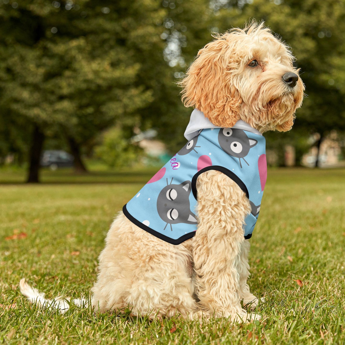 Personalized Cat Heart Pet Hoodie — Cute Blue Cat Pattern Dog & Cat Hoodie